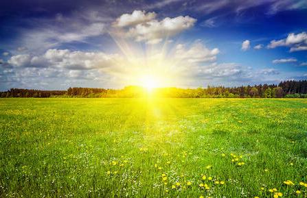 picture of sun shining over a valley